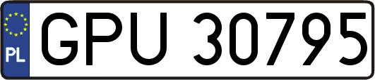 GPU30795