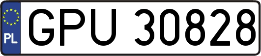GPU30828