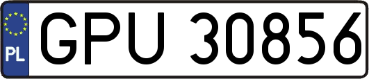 GPU30856
