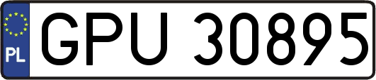 GPU30895