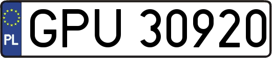 GPU30920