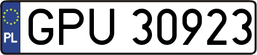 GPU30923