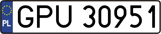 GPU30951