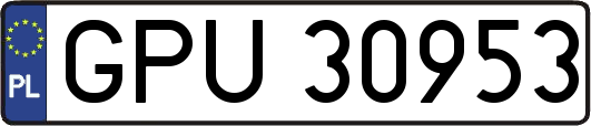 GPU30953