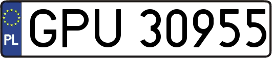 GPU30955