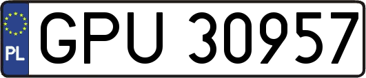 GPU30957
