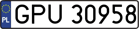 GPU30958