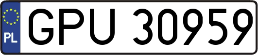 GPU30959