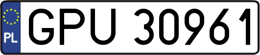 GPU30961