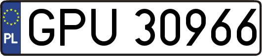 GPU30966