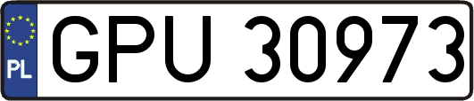 GPU30973