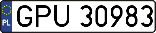 GPU30983