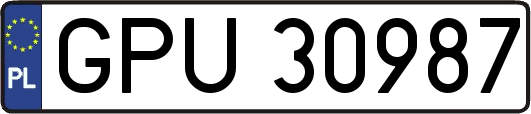 GPU30987