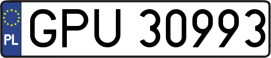 GPU30993
