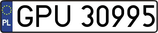 GPU30995