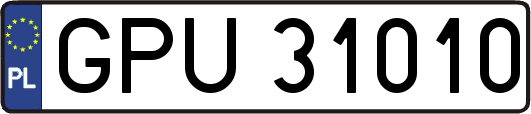 GPU31010