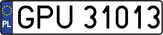 GPU31013
