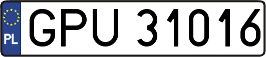 GPU31016