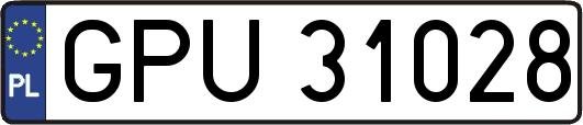 GPU31028