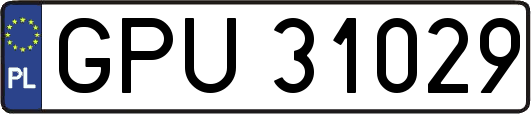 GPU31029