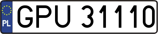 GPU31110