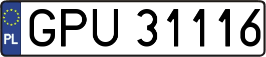 GPU31116