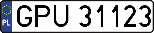 GPU31123