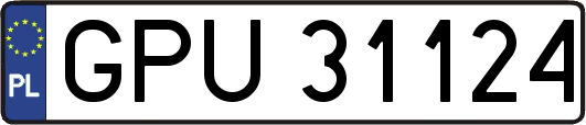 GPU31124