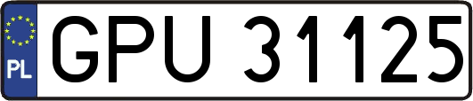 GPU31125