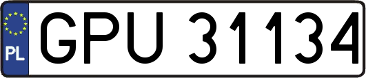 GPU31134