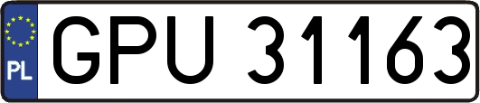 GPU31163