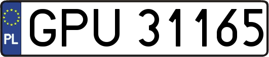 GPU31165