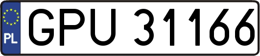 GPU31166