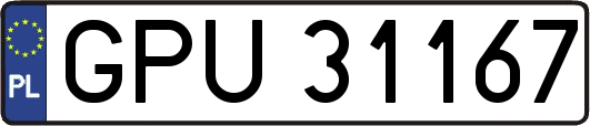 GPU31167