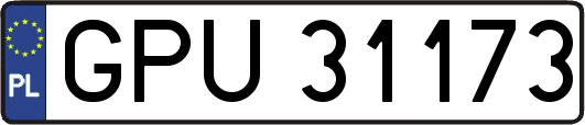 GPU31173