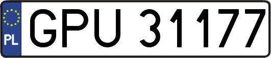 GPU31177