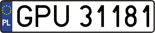 GPU31181