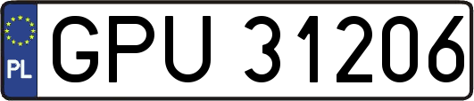 GPU31206