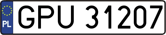 GPU31207