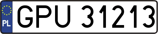 GPU31213