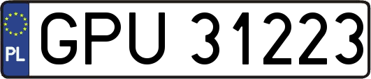 GPU31223