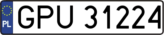 GPU31224