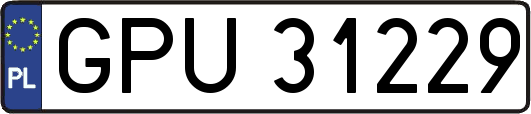 GPU31229