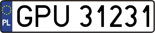 GPU31231