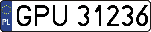 GPU31236