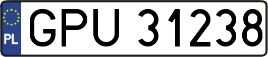GPU31238