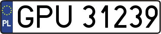GPU31239