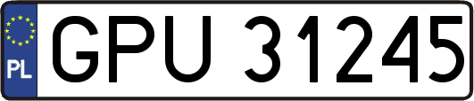 GPU31245