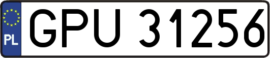 GPU31256