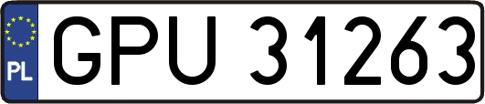 GPU31263